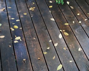 Preview wallpaper morning, floors, rain, leaves, autumn