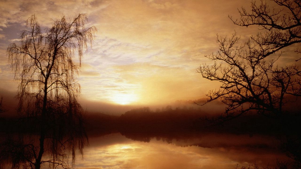 Wallpaper morning, fog, lake, trees, dawn, outlines