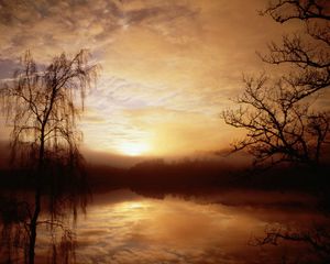 Preview wallpaper morning, fog, lake, trees, dawn, outlines