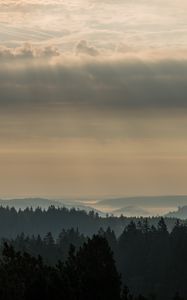 Preview wallpaper morning, forest, horizon, distance, schwarzwald