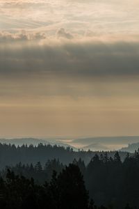 Preview wallpaper morning, forest, horizon, distance, schwarzwald