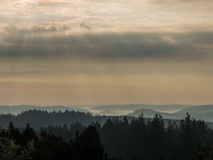 Preview wallpaper morning, forest, horizon, distance, schwarzwald