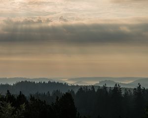 Preview wallpaper morning, forest, horizon, distance, schwarzwald