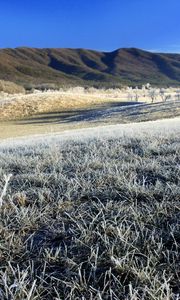 Preview wallpaper morning, frost, hoarfrost, grass, field