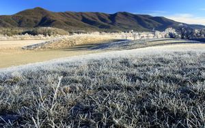 Preview wallpaper morning, frost, hoarfrost, grass, field