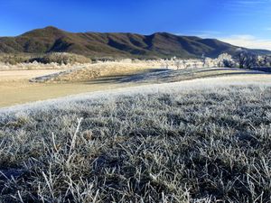 Preview wallpaper morning, frost, hoarfrost, grass, field