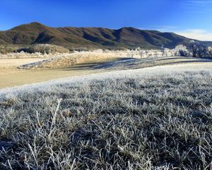 Preview wallpaper morning, frost, hoarfrost, grass, field