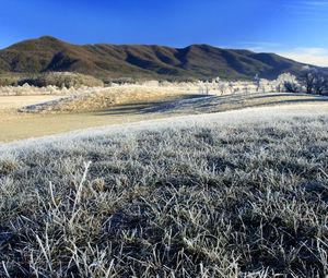 Preview wallpaper morning, frost, hoarfrost, grass, field