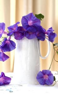 Preview wallpaper morning glory, roses, jugs, composition, beautiful