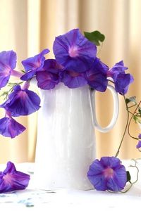 Preview wallpaper morning glory, roses, jugs, composition, beautiful