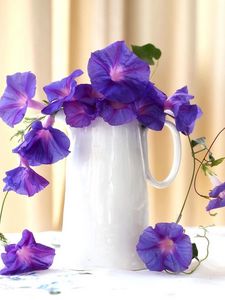 Preview wallpaper morning glory, roses, jugs, composition, beautiful