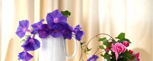 Preview wallpaper morning glory, roses, jugs, composition, beautiful