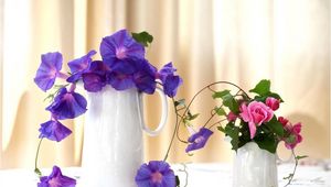 Preview wallpaper morning glory, roses, jugs, composition, beautiful