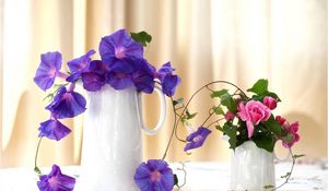 Preview wallpaper morning glory, roses, jugs, composition, beautiful