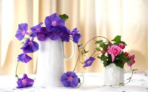 Preview wallpaper morning glory, roses, jugs, composition, beautiful