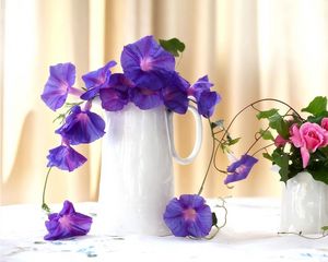 Preview wallpaper morning glory, roses, jugs, composition, beautiful