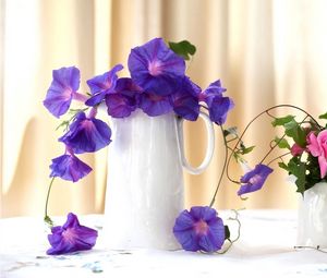 Preview wallpaper morning glory, roses, jugs, composition, beautiful