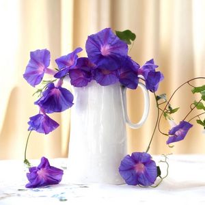 Preview wallpaper morning glory, roses, jugs, composition, beautiful