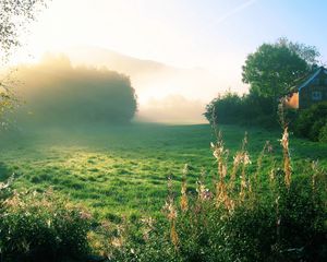 Preview wallpaper morning, house, fog, dawn, greens