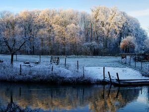 Preview wallpaper morning, lake, frost, freeze, november, fall, fence