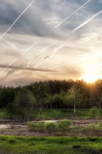 Preview wallpaper morning, summer, trees, sky, lines, green