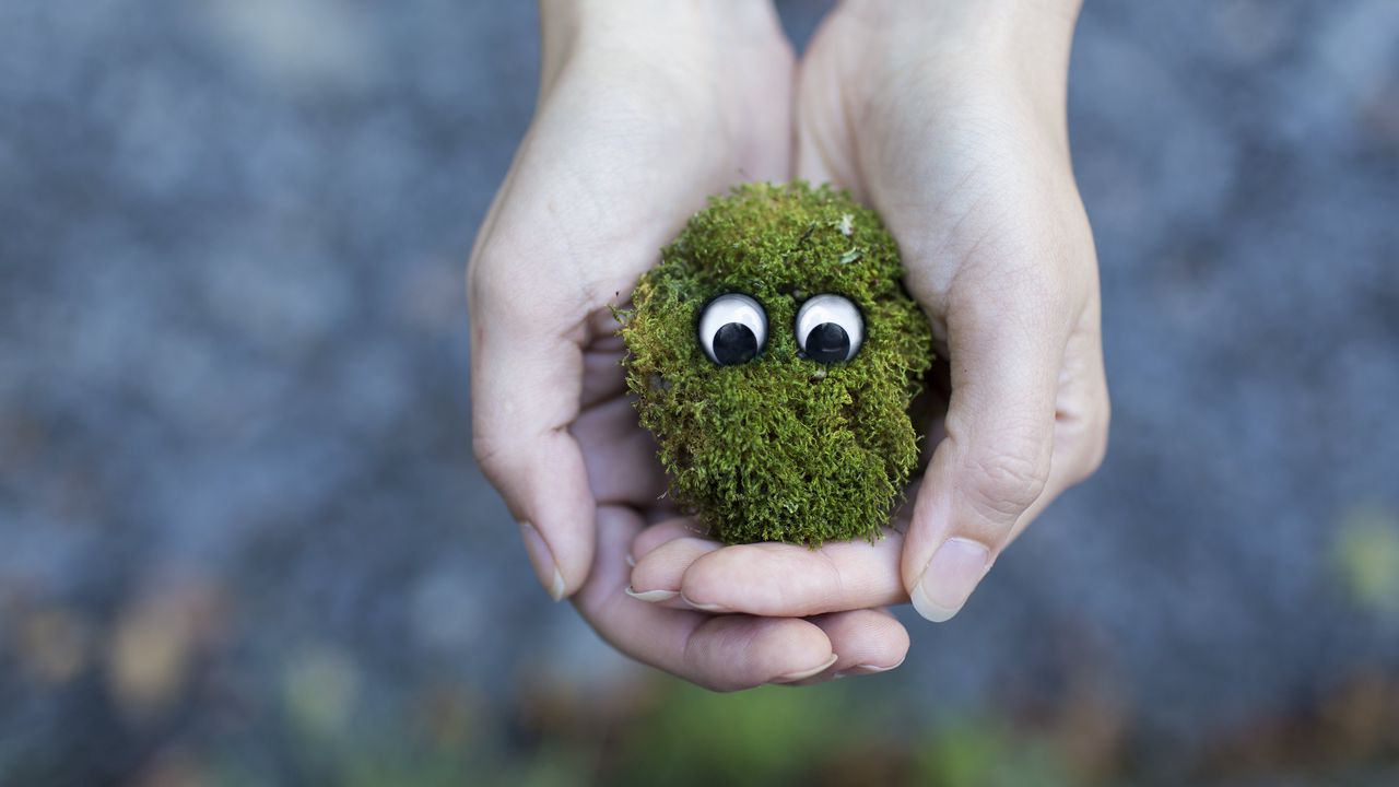 Wallpaper moss, hands, eyes