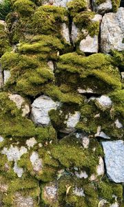 Preview wallpaper moss, macro, stones, rocks