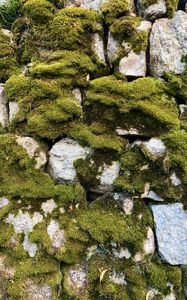 Preview wallpaper moss, macro, stones, rocks
