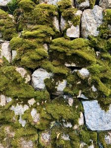 Preview wallpaper moss, macro, stones, rocks