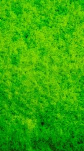 Preview wallpaper moss, macro, texture, green