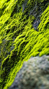 Preview wallpaper moss, slope, stones, blur