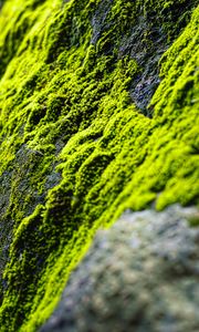 Preview wallpaper moss, slope, stones, blur