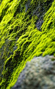 Preview wallpaper moss, slope, stones, blur