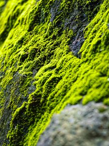 Preview wallpaper moss, slope, stones, blur