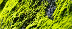 Preview wallpaper moss, slope, stones, blur