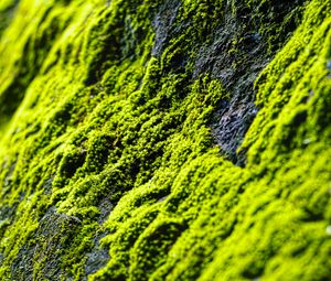 Preview wallpaper moss, slope, stones, blur