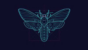 Preview wallpaper moth, pattern, art, geometry, symmetry