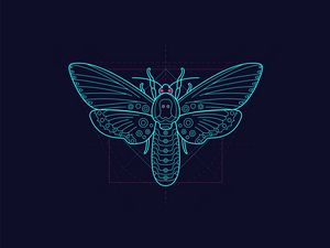 Preview wallpaper moth, pattern, art, geometry, symmetry