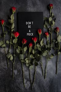 Preview wallpaper motivation, inscription, plate, roses, flowers