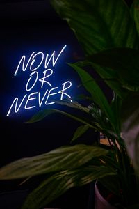 Preview wallpaper motivation, phrase, now or never