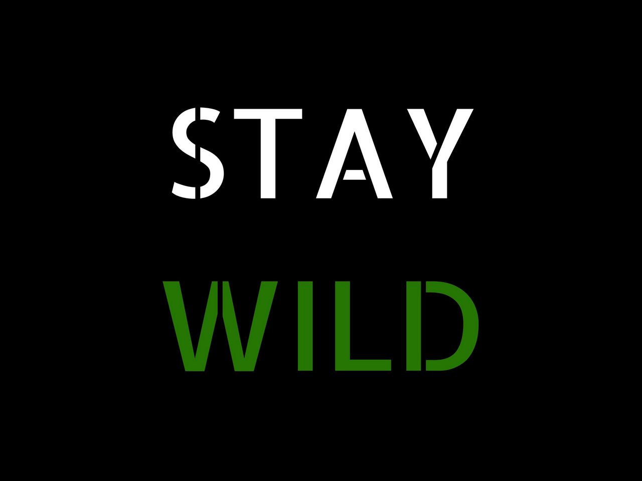 1280x960 Wallpaper motivation, wild, words, phrase, inscription