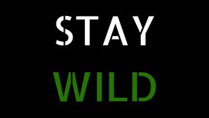 Preview wallpaper motivation, wild, words, phrase, inscription