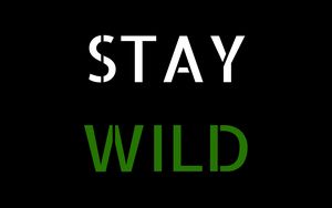 Preview wallpaper motivation, wild, words, phrase, inscription