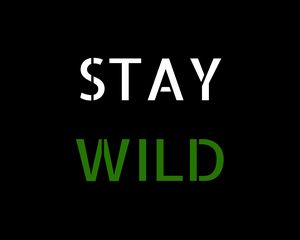 Preview wallpaper motivation, wild, words, phrase, inscription