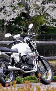 Preview wallpaper moto guzzi v7, moto guzzi, motorcycle, bike, white