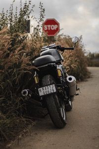 Preview wallpaper motorcycle, bike, black, rear view