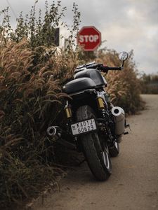 Preview wallpaper motorcycle, bike, black, rear view