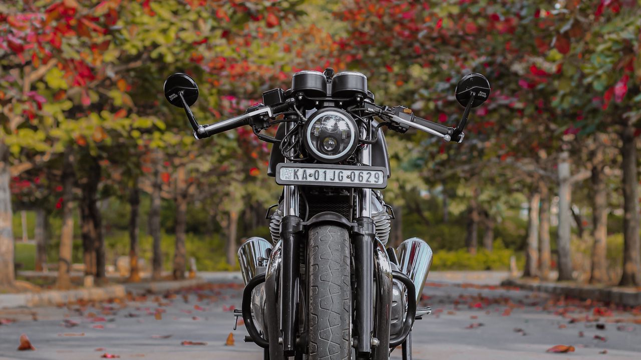 Wallpaper motorcycle, bike, black, front view, asphalt, leaves