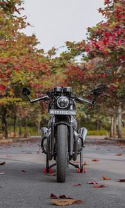 Preview wallpaper motorcycle, bike, black, front view, asphalt, leaves