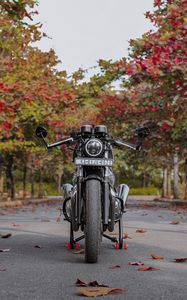 Preview wallpaper motorcycle, bike, black, front view, asphalt, leaves